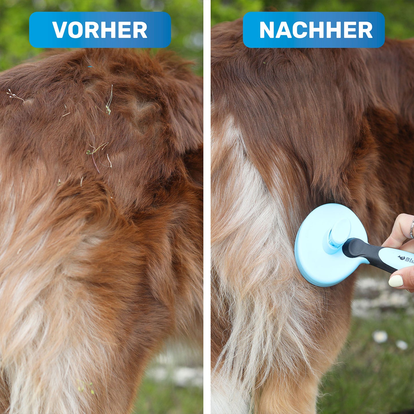 BluePet Zupfzeug selbstreinigende Zupfbürste für Hunde und Katzen - vorher und nachher im Vergleich