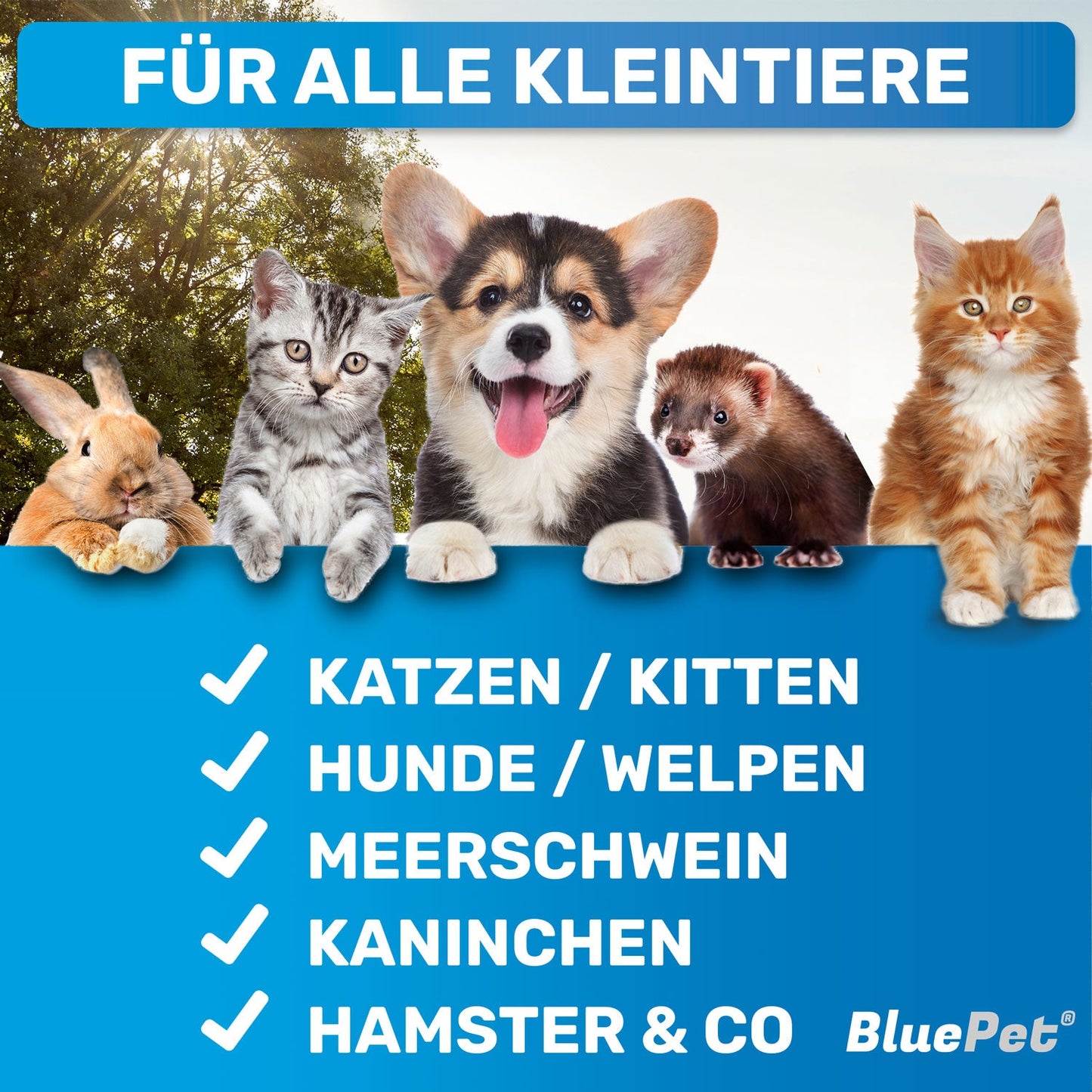 "ZupfZeug Mini" (B-Stock)