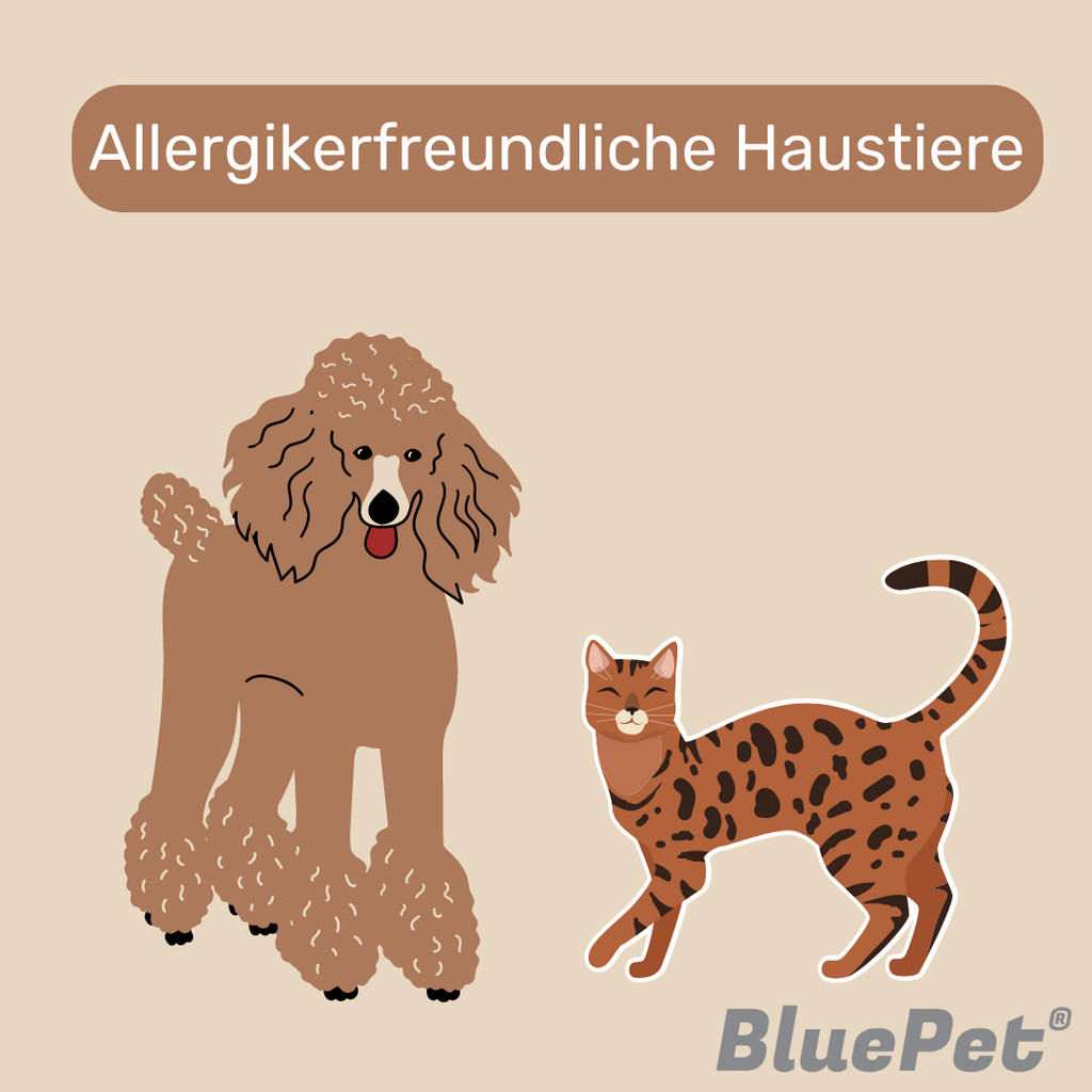 Allergikerfreundliche Haustiere