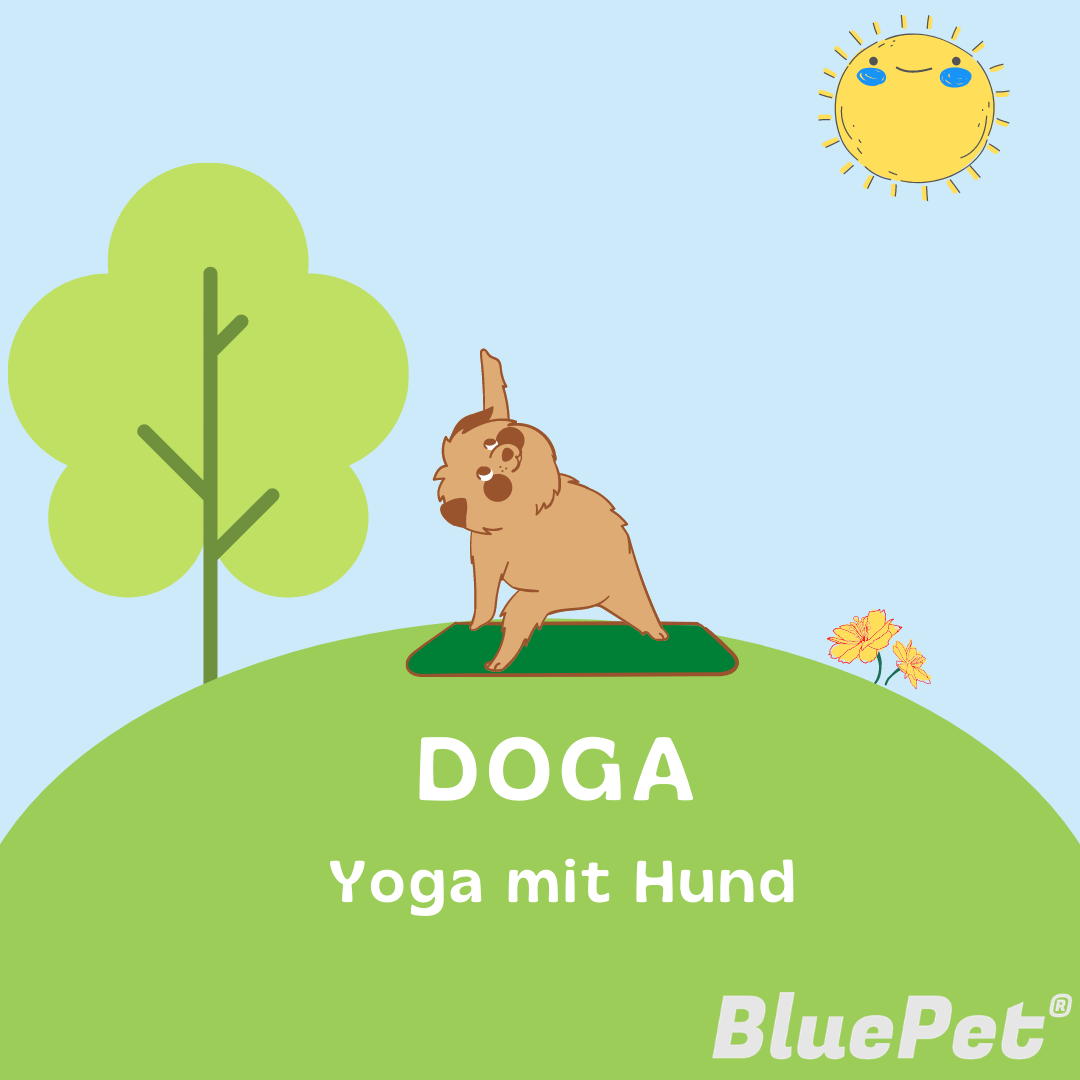 Grafik: Yoga mit Hund 