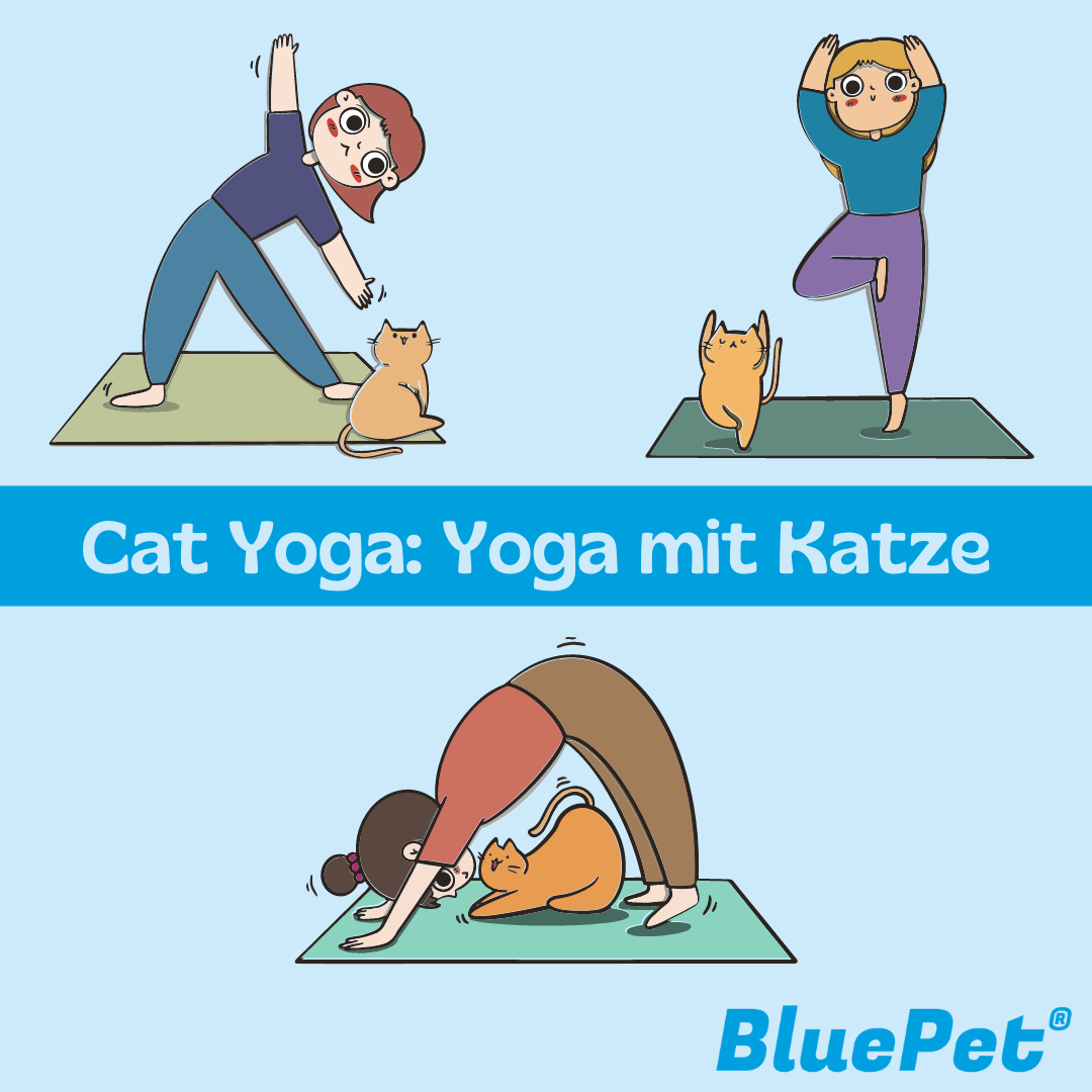 Grafik: Yoga mit Katze