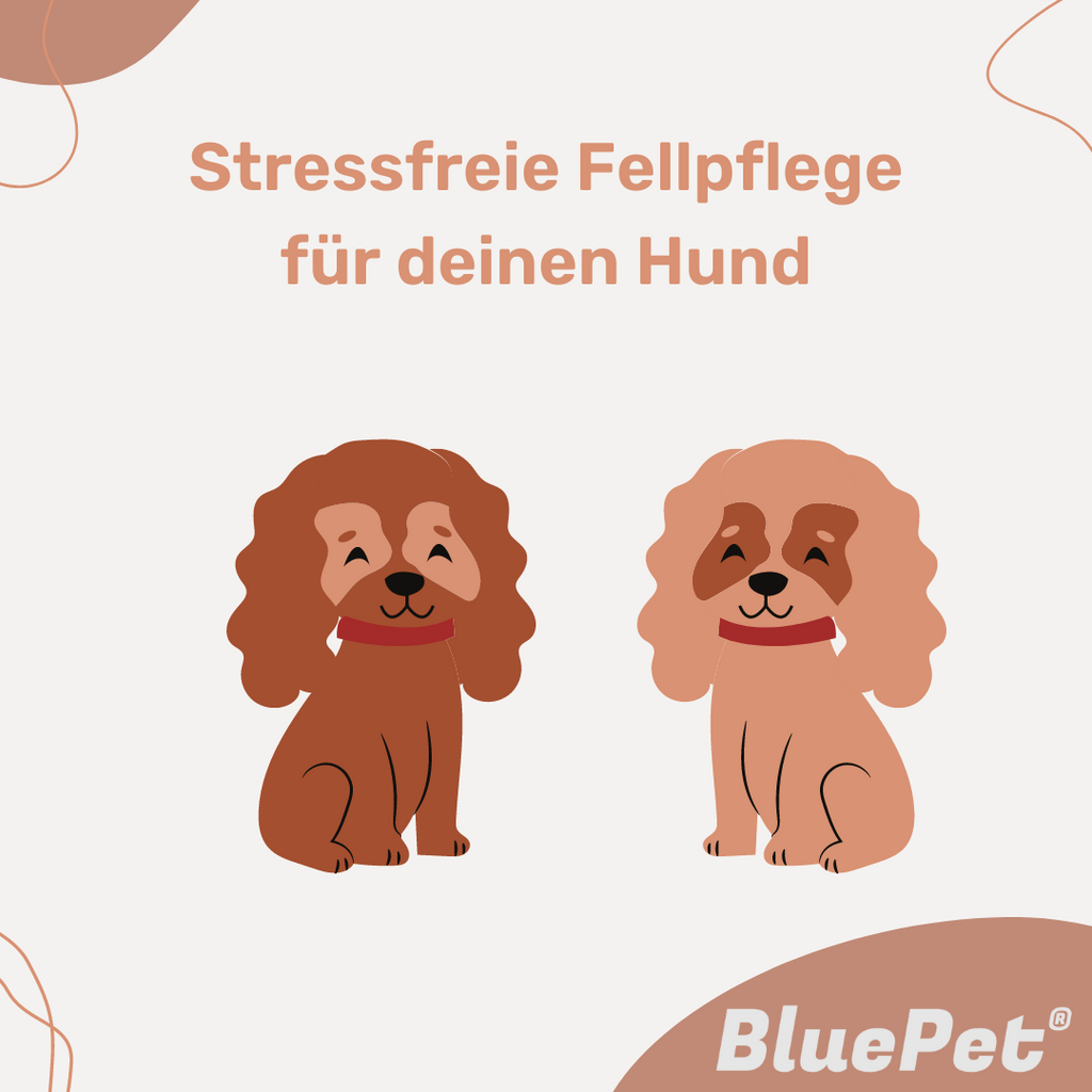 Grafik: Stressfreie Fellpflege für deinen Hund 