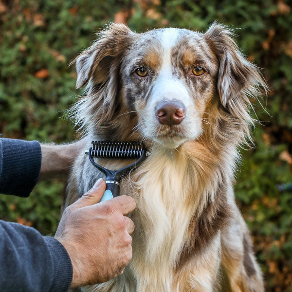 Bürsten für langhaarige Hunde und Katzen