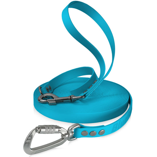 BluePet x CustomPaws BioThane® Schleppleine mit Sicherheitskarabiner und abnehmbarer Schlaufe / Kurzführer
