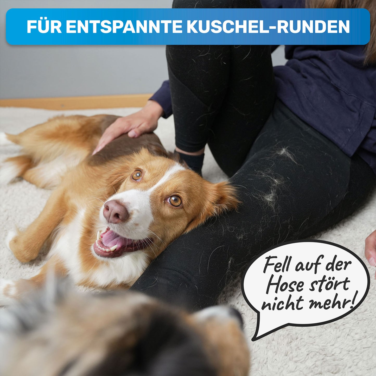 BluePet Fellhandschuh, Tierhaarentferner Handschuh, Fell Magnet gegen Katzenhaare und Hundehaare