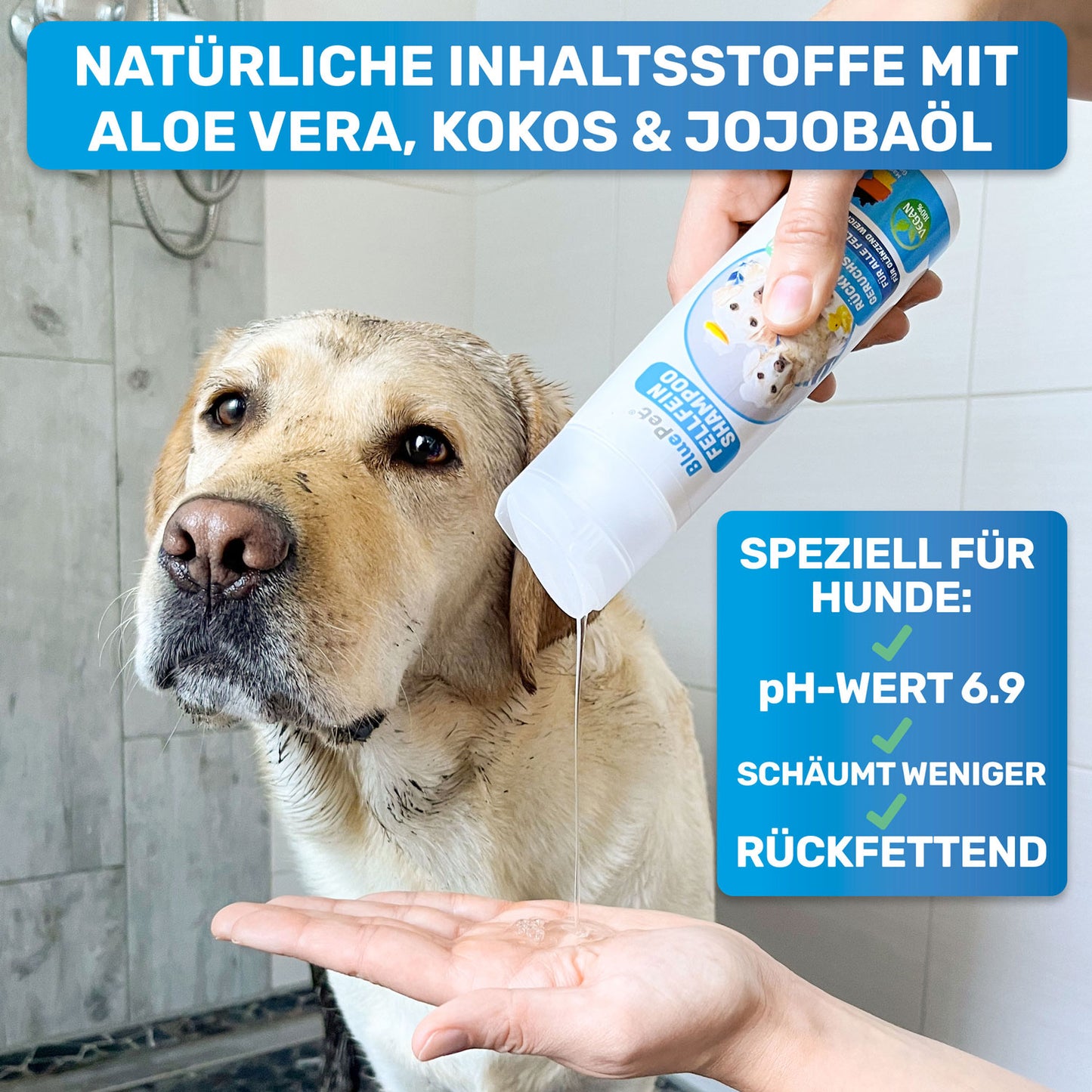 Hundeshampoo + Befüllbare Badebürste Set