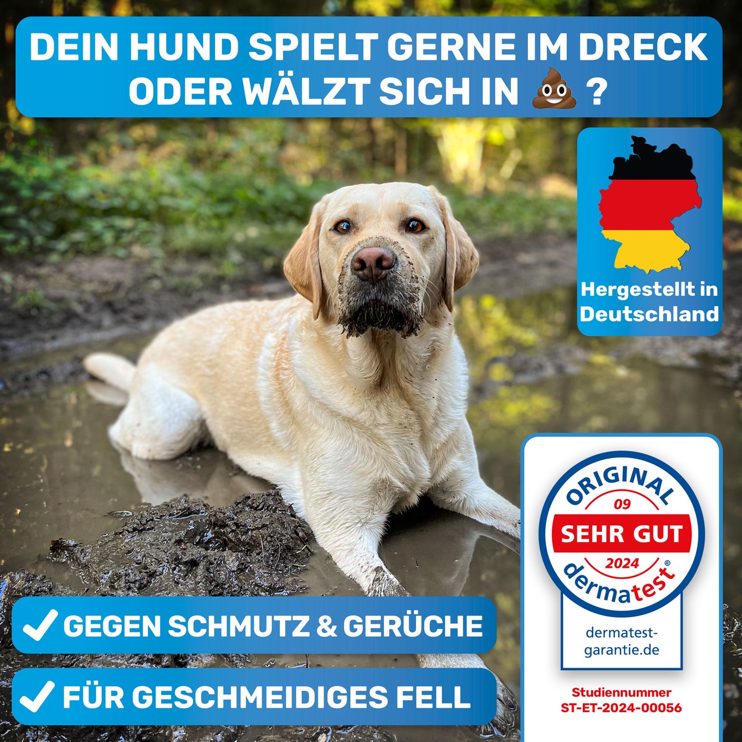Hundeshampoo + Befüllbare Badebürste Set