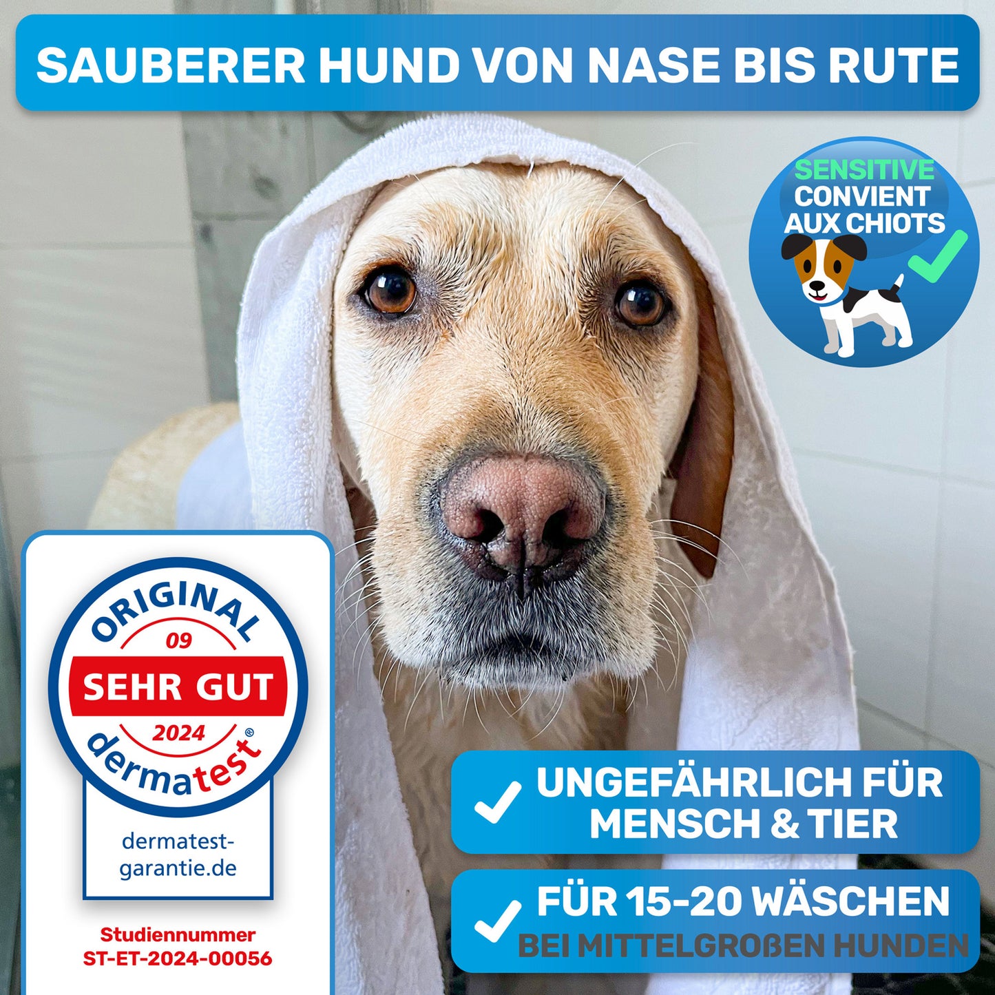 Hundeshampoo + Befüllbare Badebürste Set