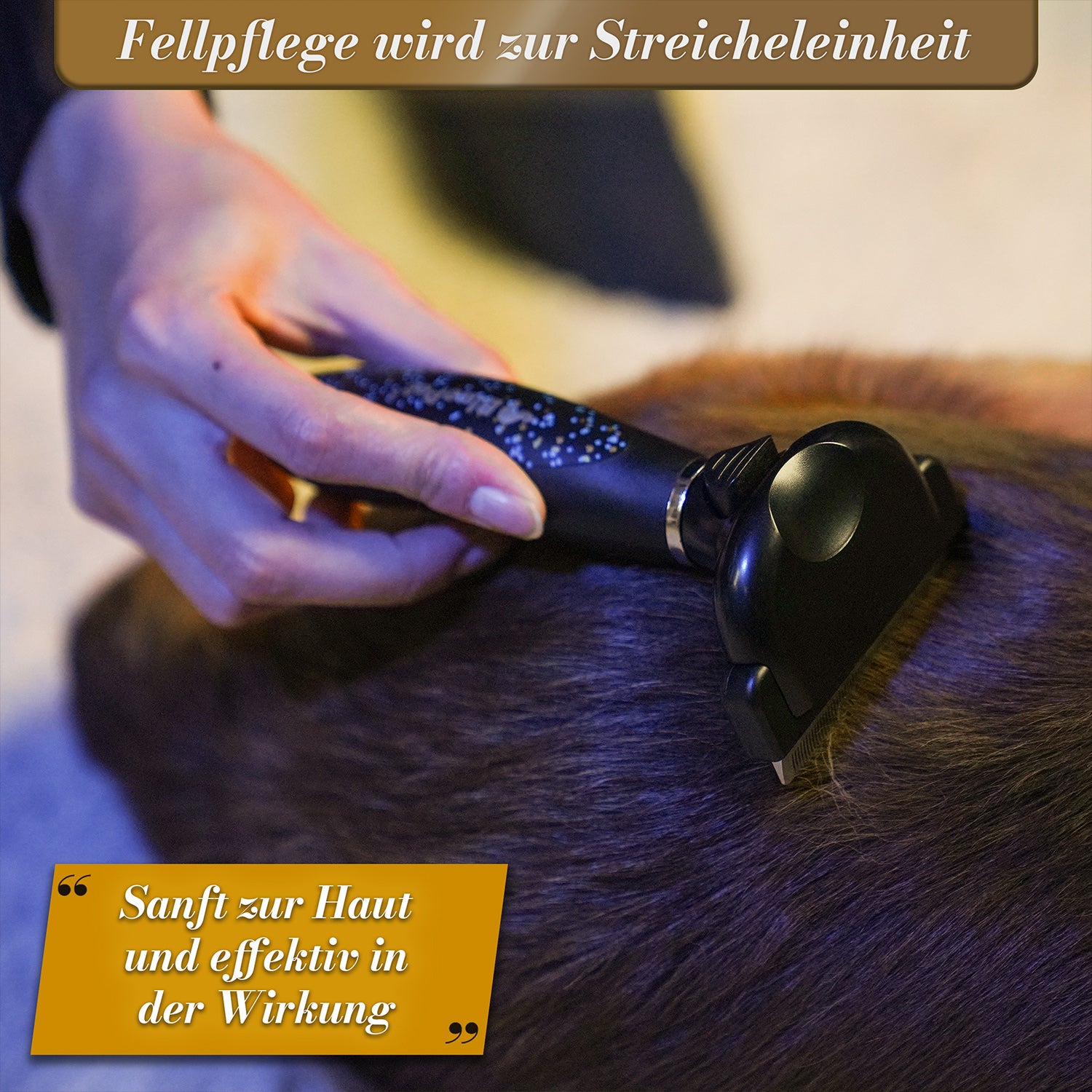 BluePet Unterwollbürste für Kurzhaar Unterwollglück Limited Edition in schwarz Deshedder für Hunde und Katzen im Fellwechsel sanft zur Haut und effektiv in der Wirkung