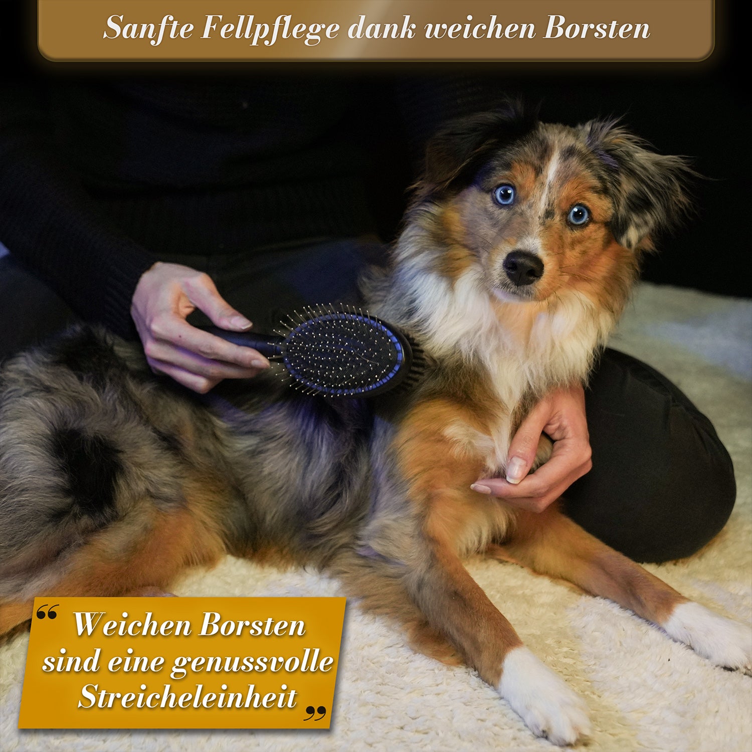 BluePet Limited Edition Doppelseitige 2-in-1 Fellbürste Doppelbürste für Hunde und Katzen sanfte Fellpflege dank weichen Borsten - Die sanften Borsten sind eine genussvolle Streicheleinheit