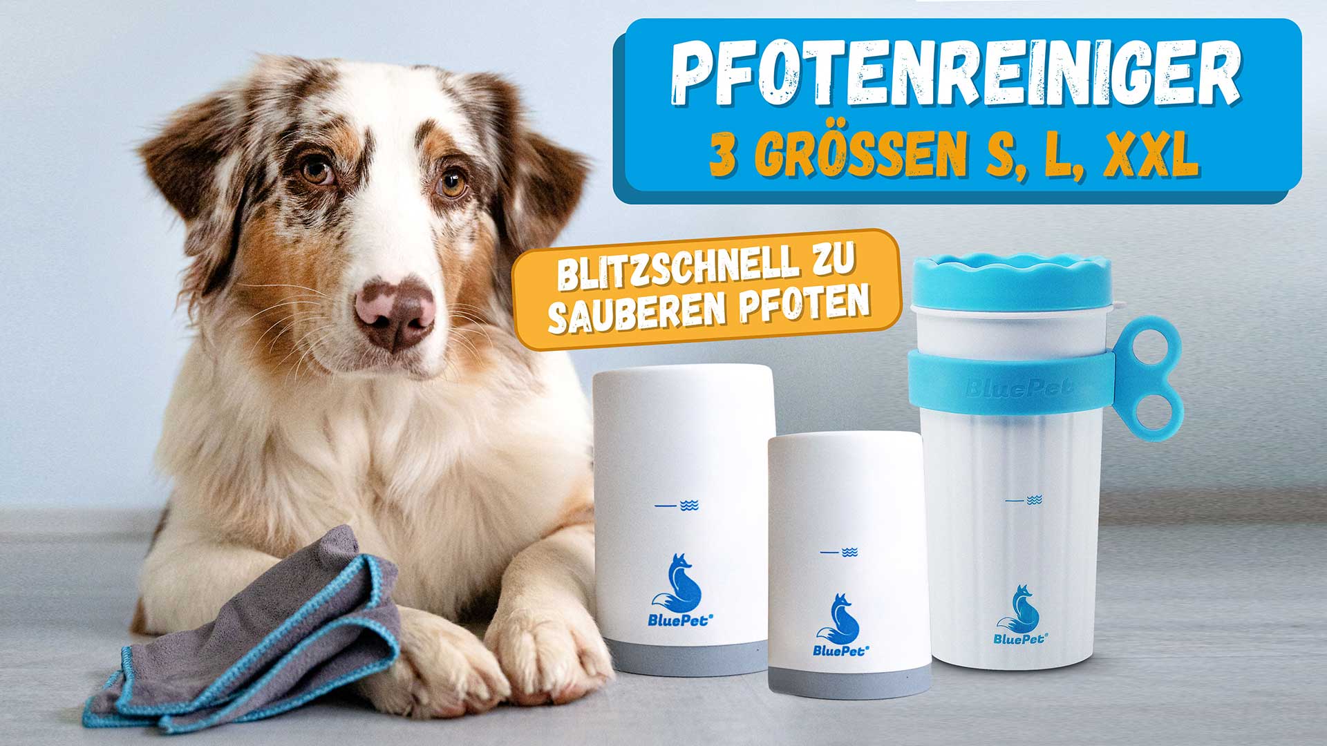 Video laden: Top 3 Hundebürsten für Fellwechsel &amp; Fellpflege