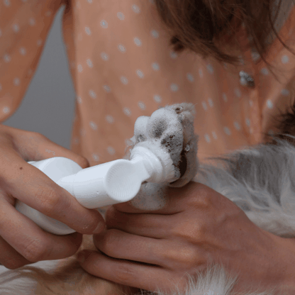 BluePet Pfotenschaum Pfotenreiniger für Hunde und Katzen in der Anwendung, animiertes GIF