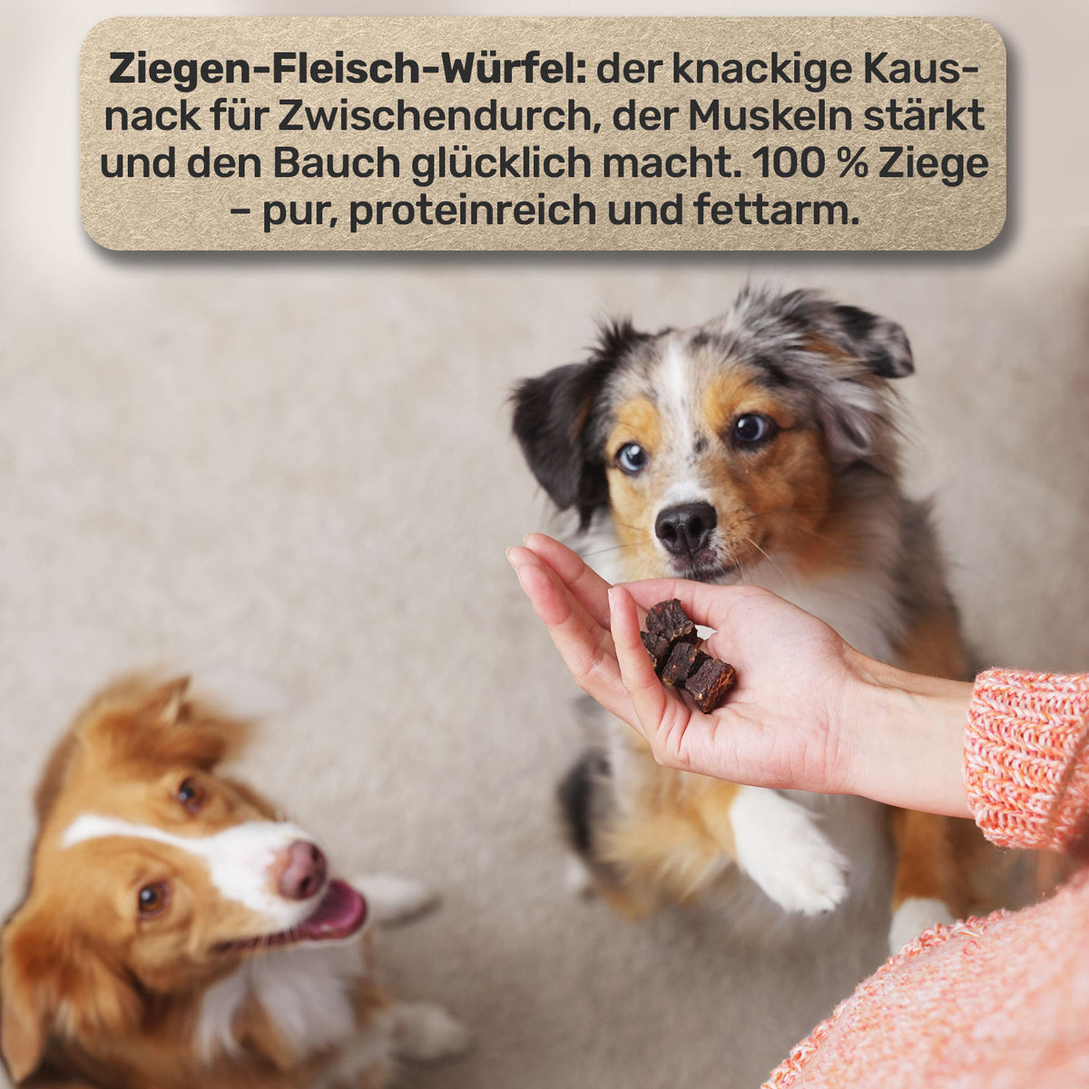 Ziegen Fleischwürfel