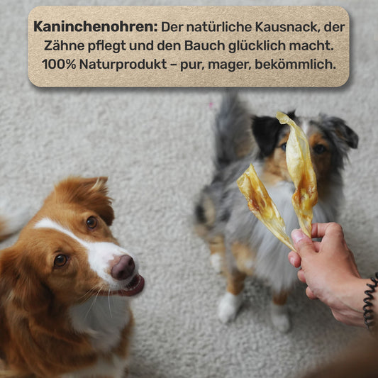 Kaninchen-Ohren ohne Fell (100g)