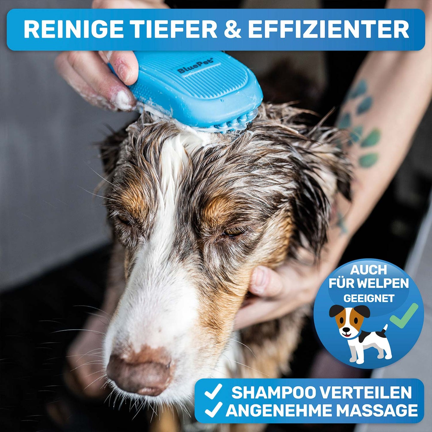 Hunde-Wellness-Pflegeset