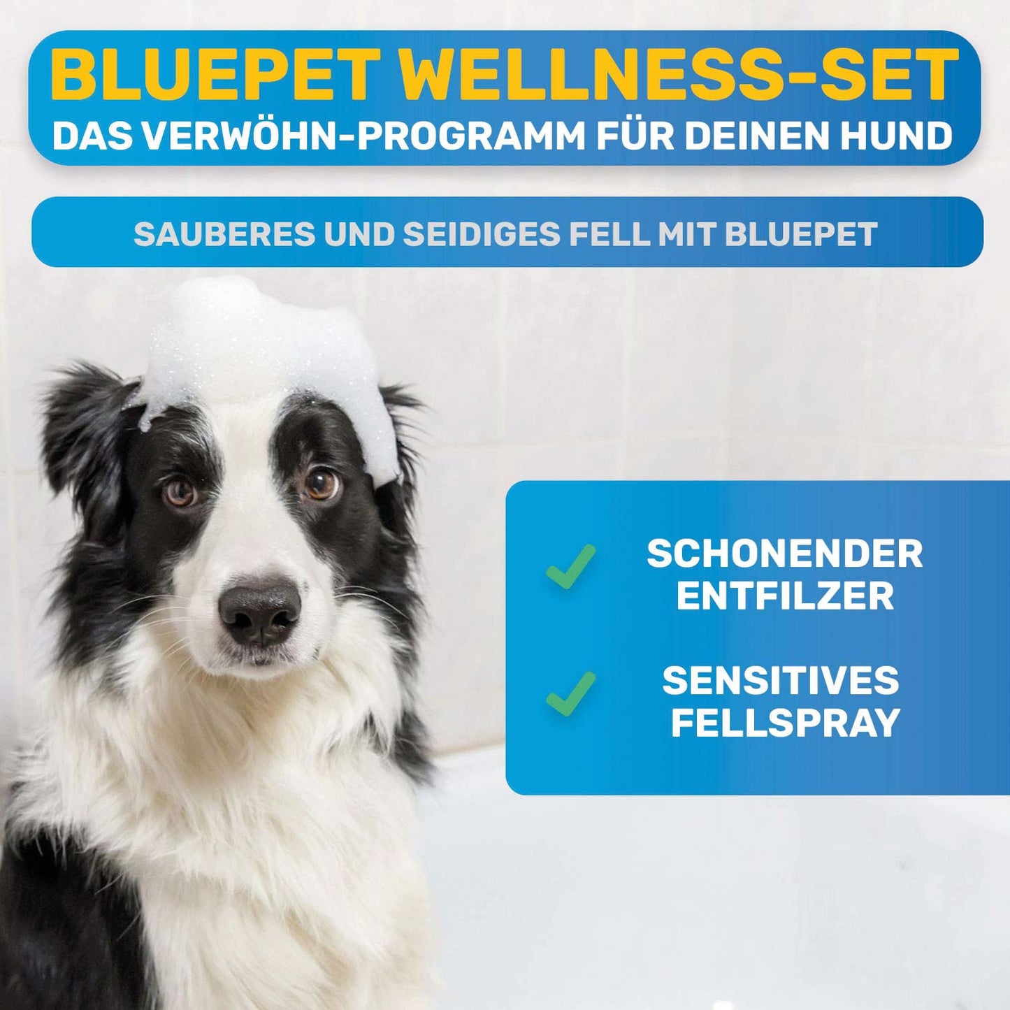 Hunde-Wellness-Pflegeset