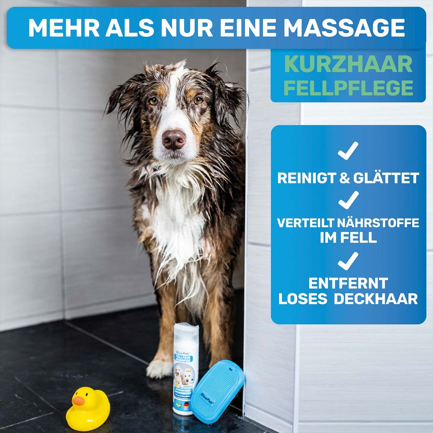 Hunde-Wellness-Pflegeset