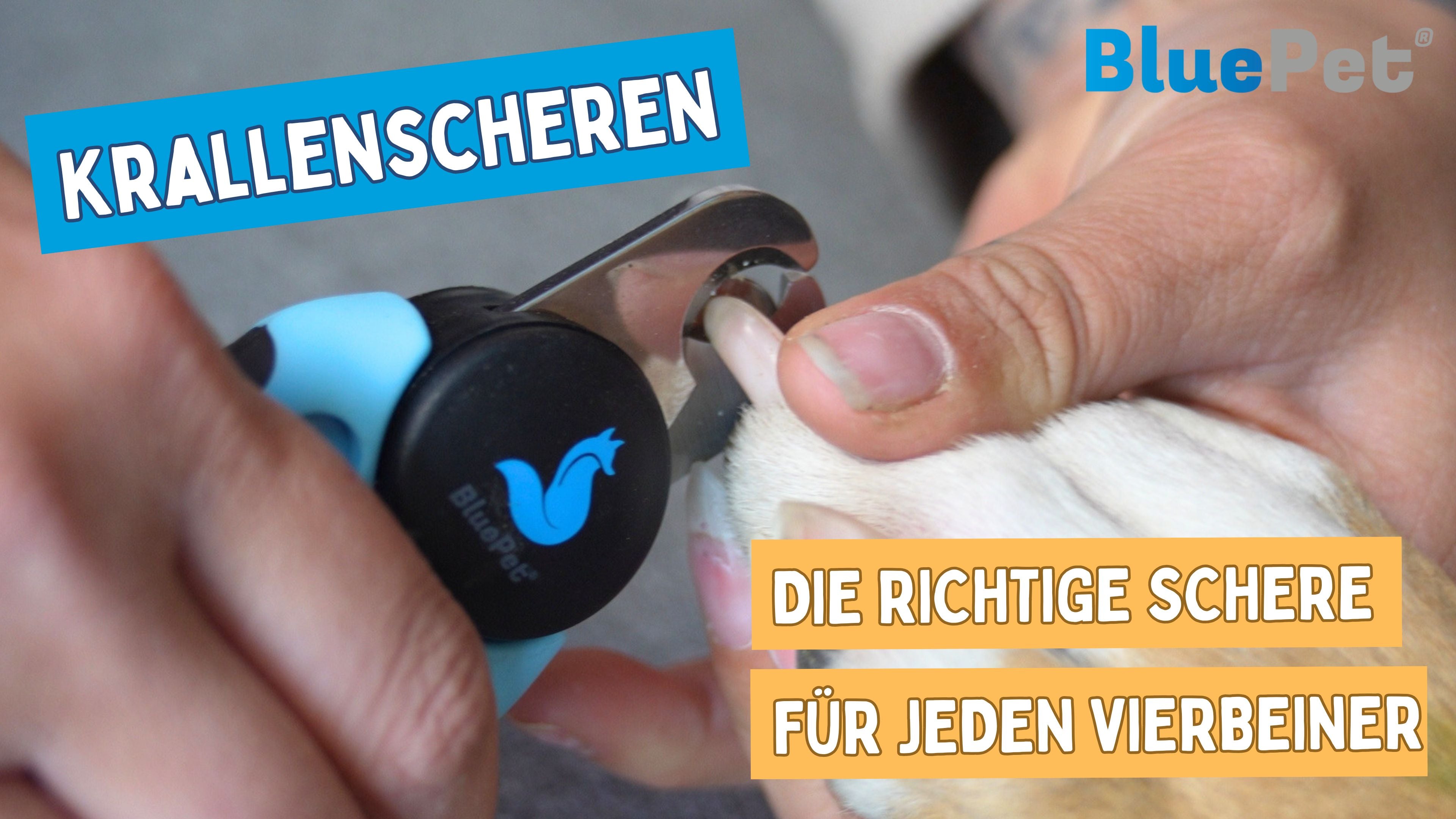 Video laden: 