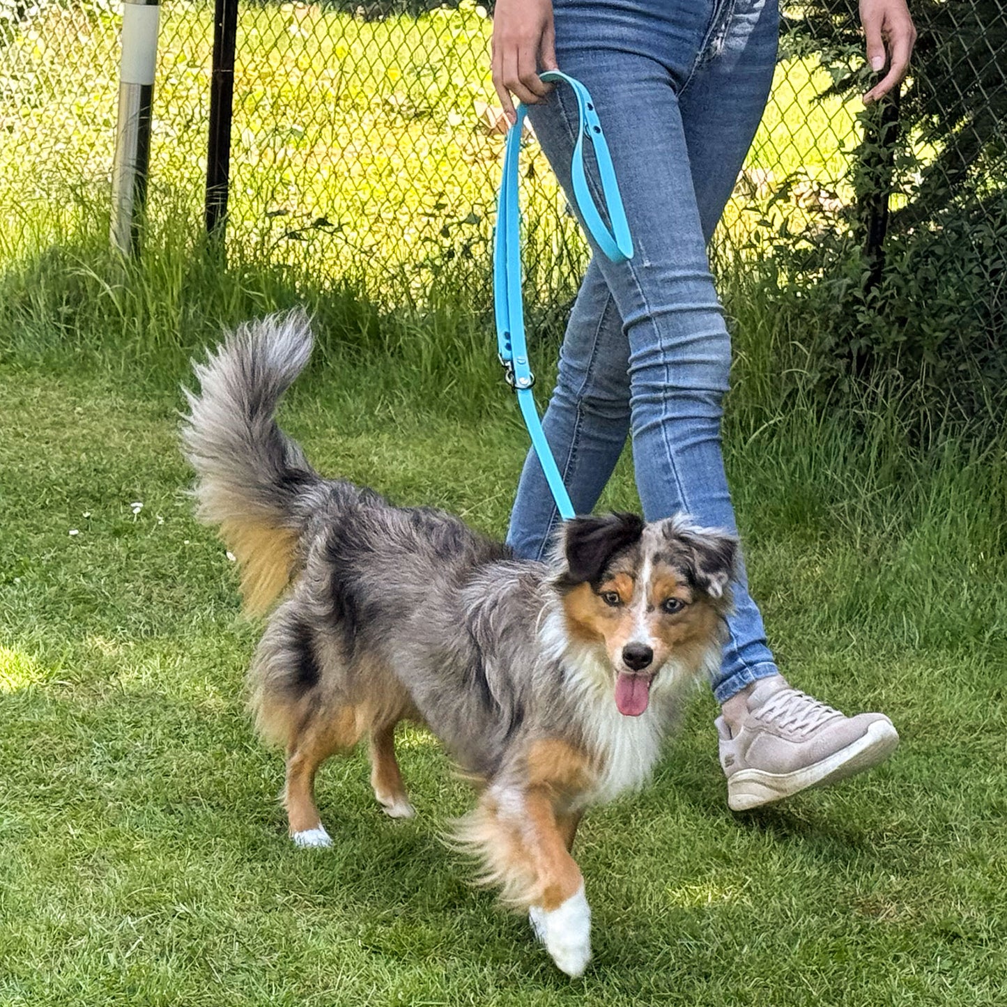 BluePet x CustomPaws BioThane® Hundeleine 3-fach verstellbar