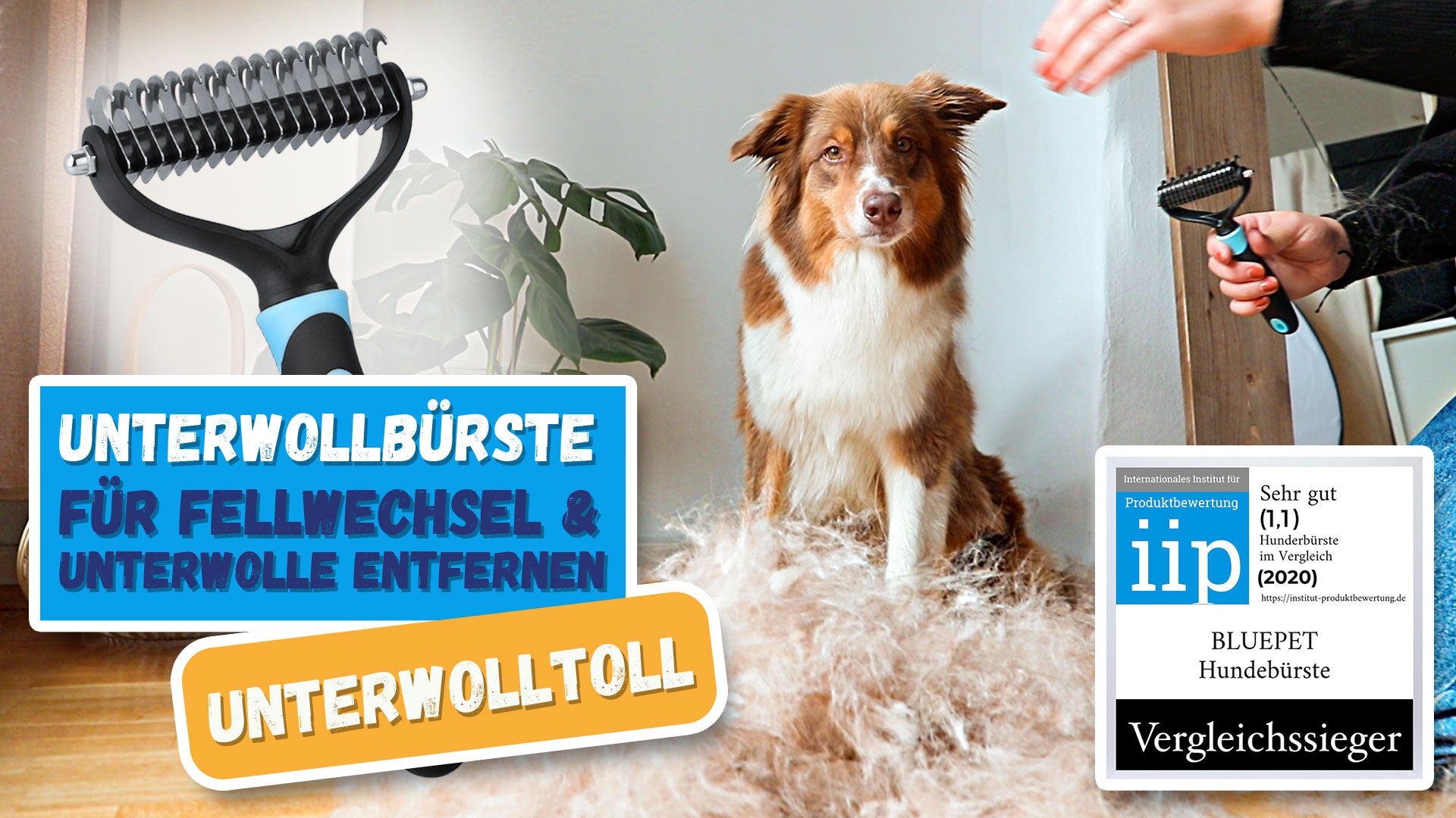 Petitebella Hundekleid Für Den 4. Juli – Tutu Mit Pailletten, Baumwolle, In Größe X-Large