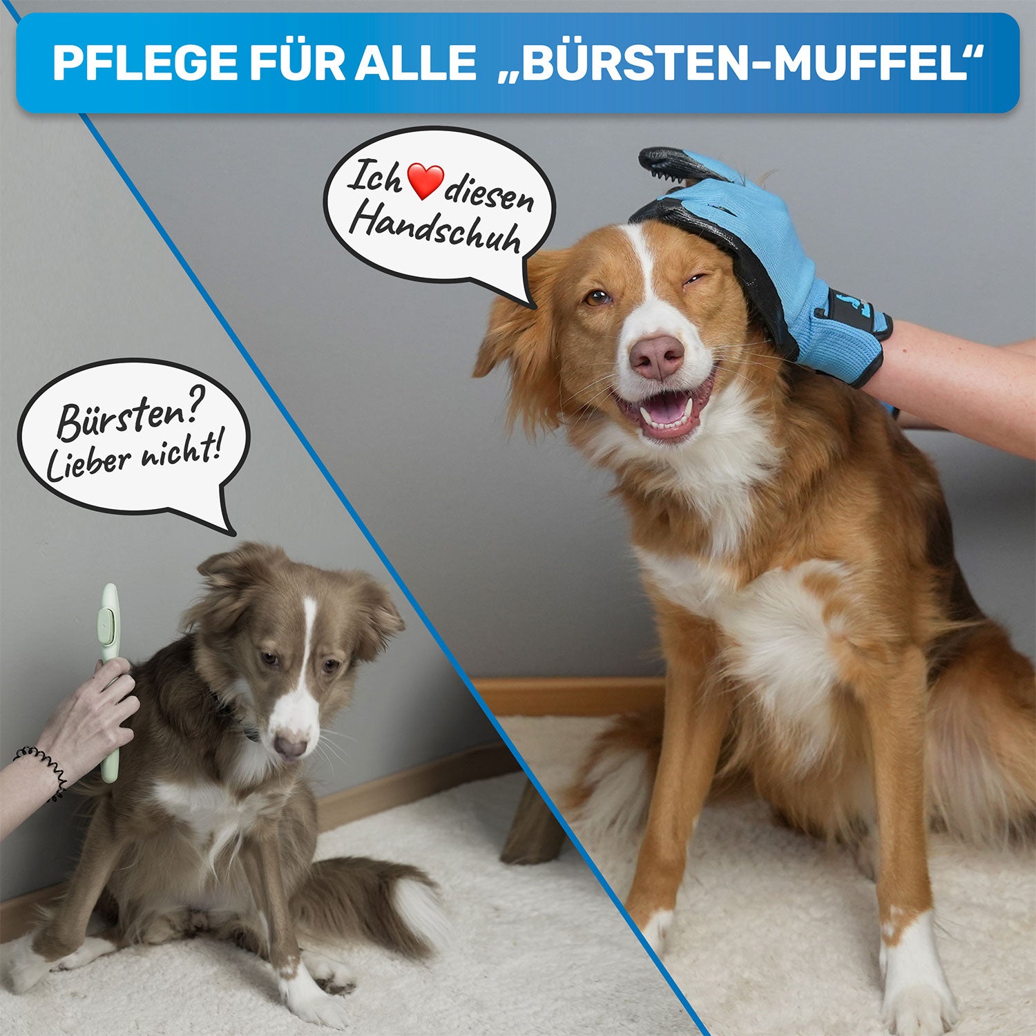 Fellpflegehandschuh als Alternative zur Bürste