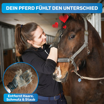 Fellhandschuh Pferd Pferdepflege Pferdehandschuh Ein Pferd wird mit einem Handschuh gebürstet.