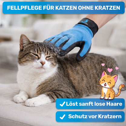Fellhandschuh für Katzen. BluePet Fellpflege-Handschuh als alternative zu Katzenbürste und Katzenkamm