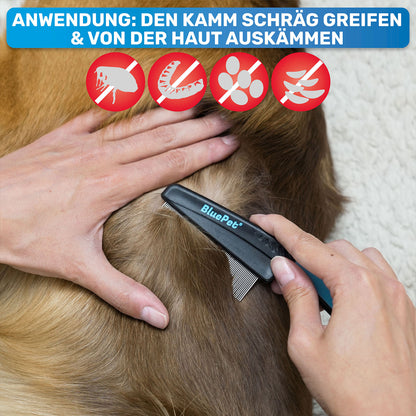 Flohkamm & Flohkarte als Ergänzung zu Flohmittel