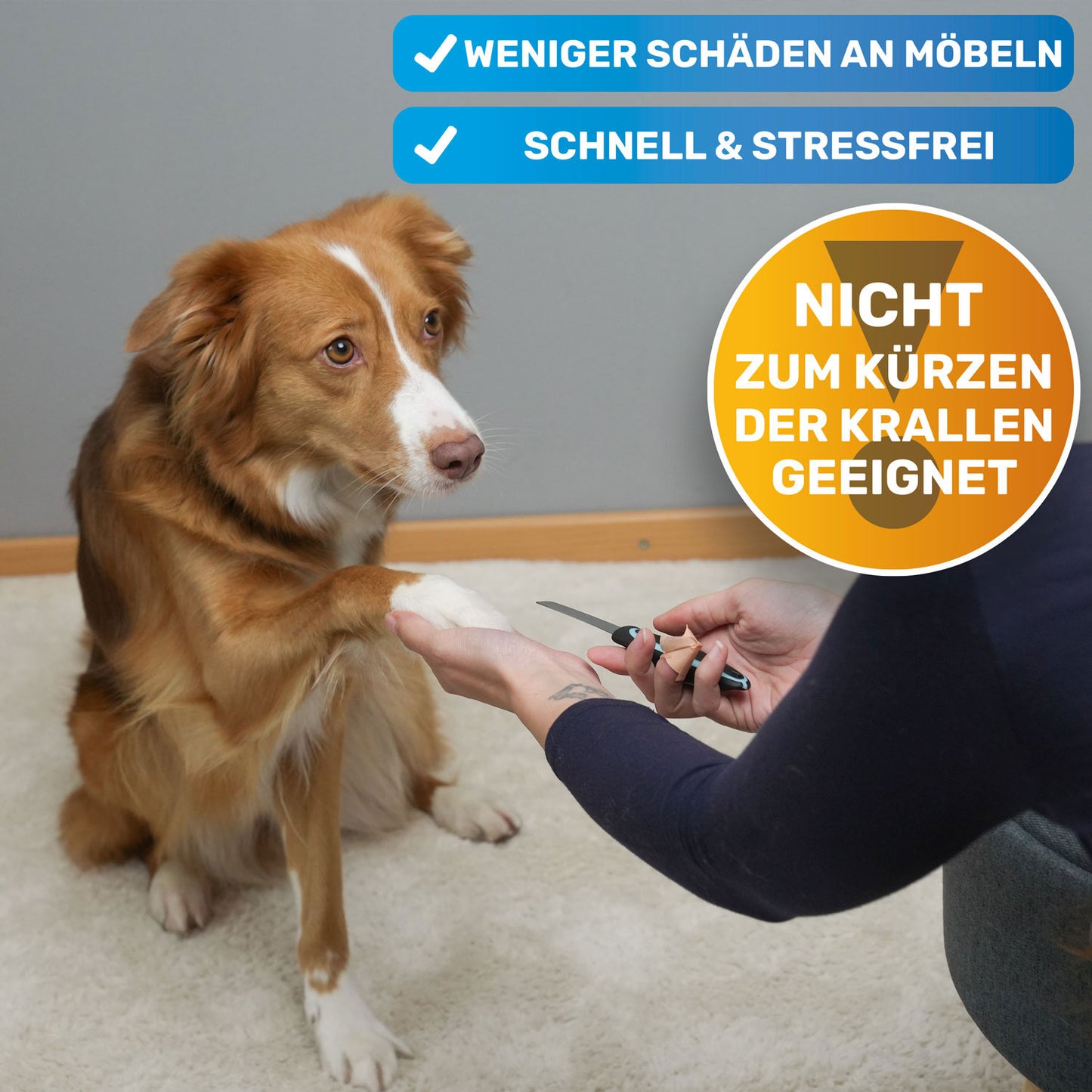Robuste Krallenfeile & Nagelfeile für große Krallen