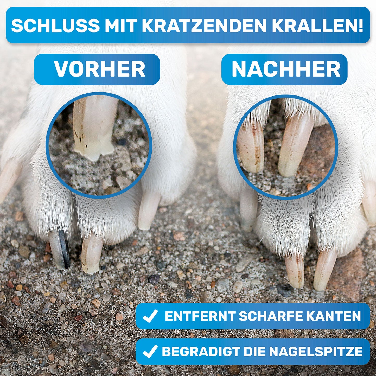 Robuste Krallenfeile & Nagelfeile für große Krallen