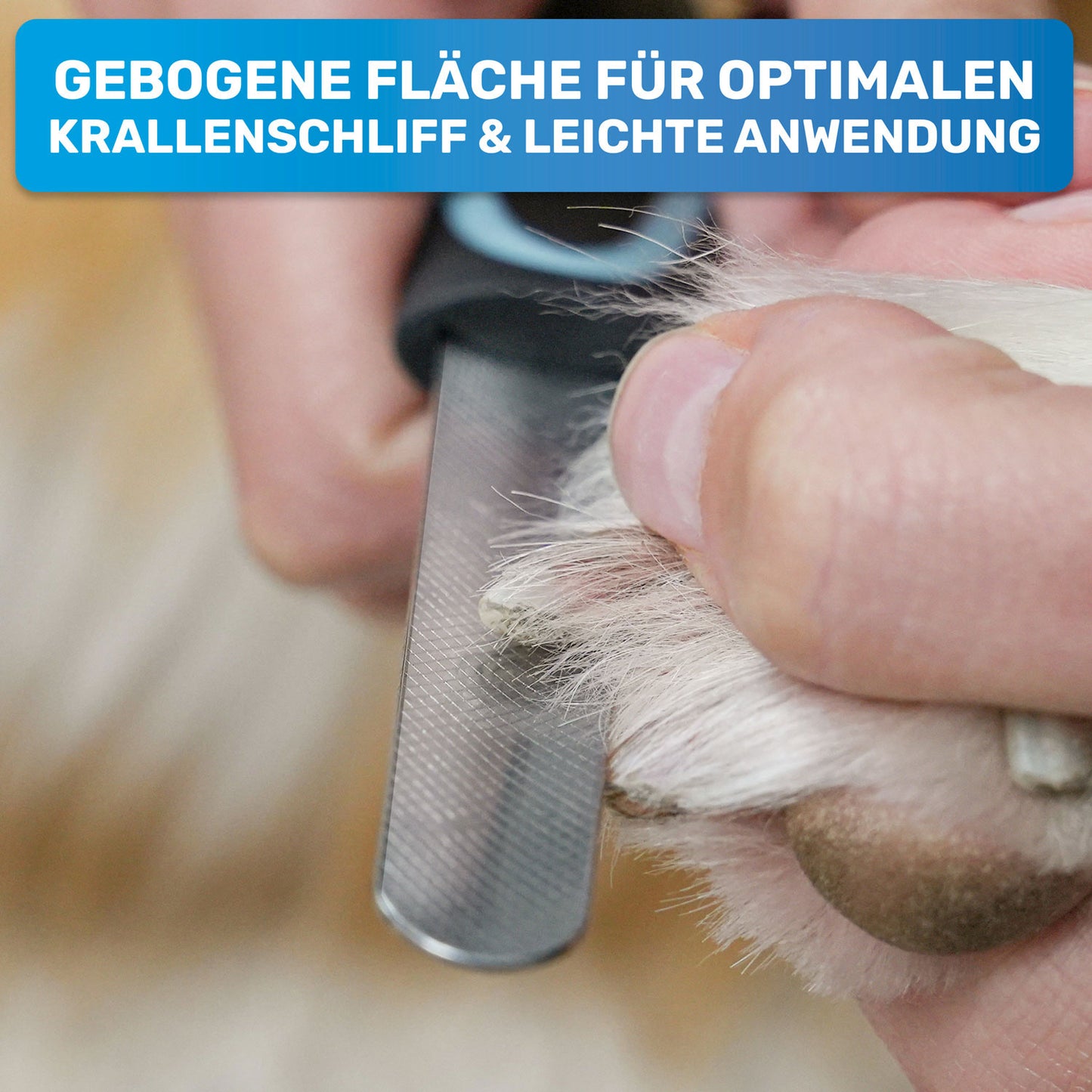 Robuste Krallenfeile & Nagelfeile für große Krallen