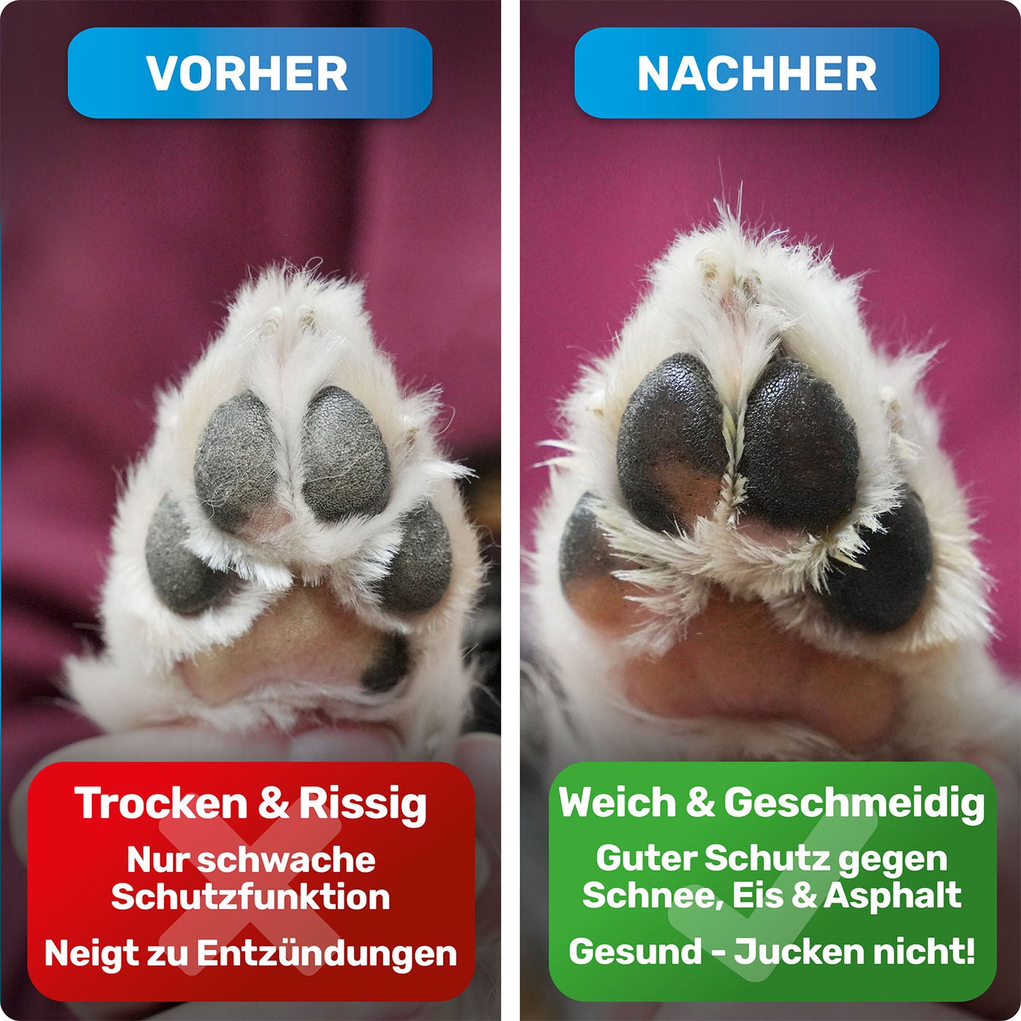 Pfotenbalsam, Nasenbalsam & Handcreme für Hunde