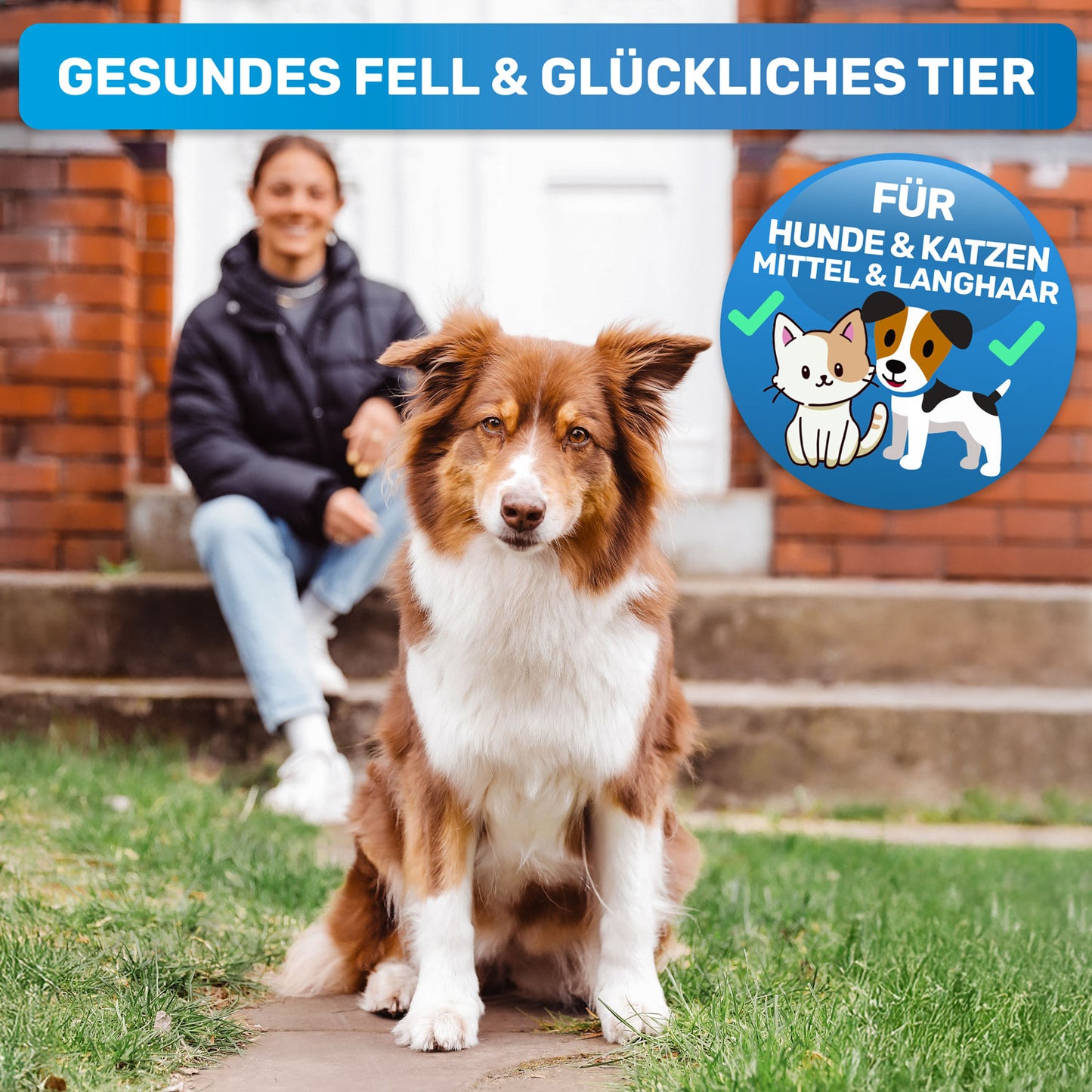 "UnterwollToll" Unterwollbürste - Unterfellbürste für Hunde & Katzen