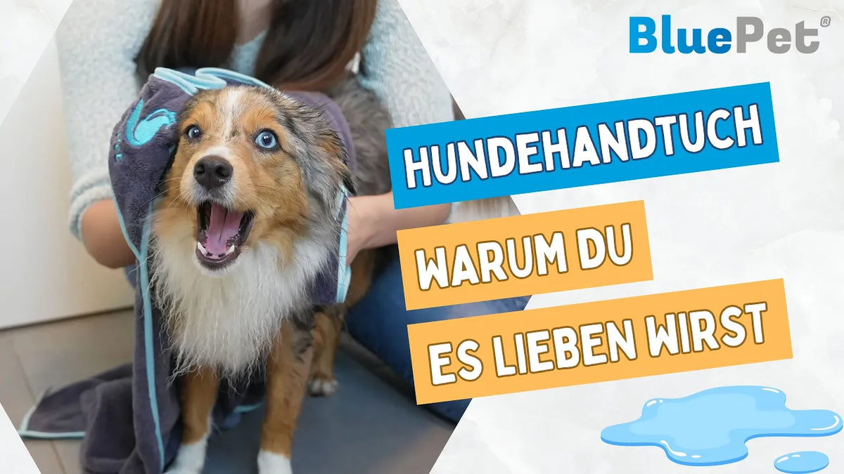 Video laden: 