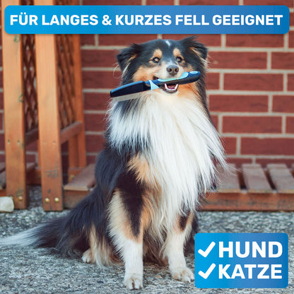 Flohkamm, Läusekamm, Milbenkamm für Hunde & Katzen