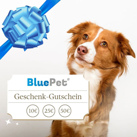BluePet Geschenkgutschein für Hundhalter und Katzenmenschen. Digitaler Gutschein für Fellbürsten.